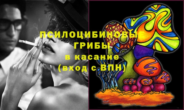 гашик Алексеевка