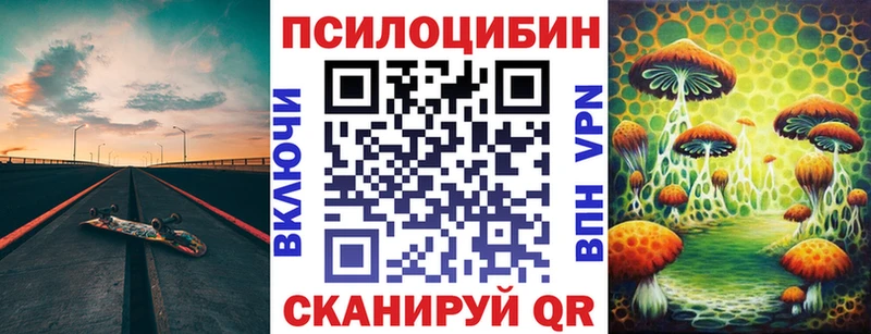 Галлюциногенные грибы Psilocybe  kraken зеркало  Салават 